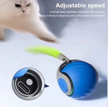 Speedy Tail 2.0