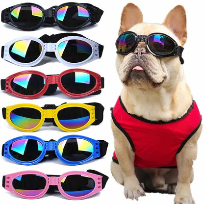 Pets Goggles