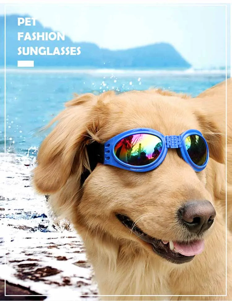 Pets Goggles