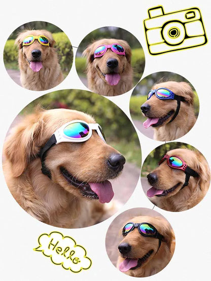 Pets Goggles