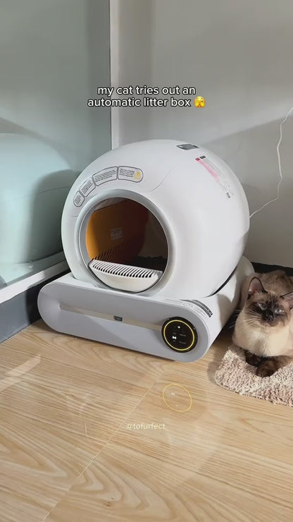 Smart self-cleaning cat litter box